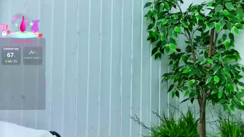 Emily online show from 14, 1, 2026