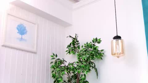 Emily online show from 3, 3, 2026