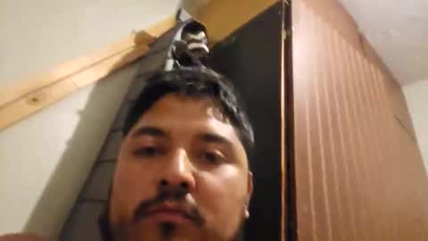 engineer_model_2022 online show from 1, 3, 2026