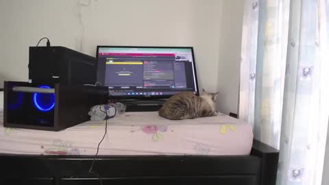 Eolicasextwo online show from 10, 1, 2025