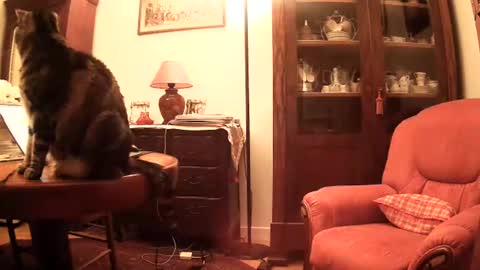 Snapshot of ericstephcam31 chatting on 26, 11, 2025 Steph et Eric online show from 26, 11, 2025