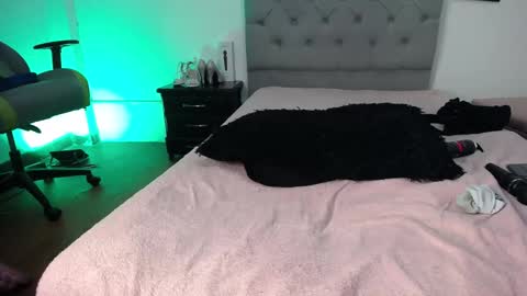 Perla online show from 12, 11, 2025