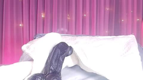 Snapshot of estrella_hanks_ chatting on 24, 2, 2026 Estrella online show from 24, 2, 2026