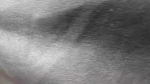 Snapshot of ethan_anavrin chatting on 30, 11, 2025 greetings sergi online show from 30, 11, 2025