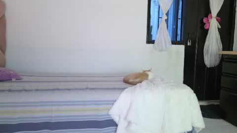 Snapshot of eva_sin18 chatting on 12, 6, 2026 Eva Sin online show from 12, 6, 2026