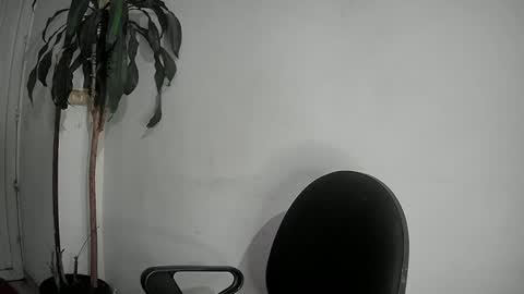 Snapshot of evacollins12 chatting on 2, 12, 2024 evacollins12 online show from 2, 12, 2024