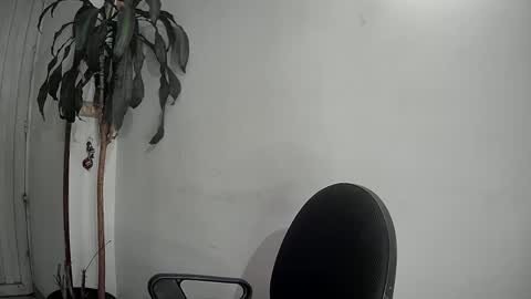 Snapshot of evacollins12 chatting on 9, 12, 2024 evacollins12 online show from 9, 12, 2024