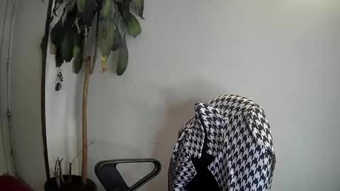 Snapshot of evacollins12 chatting on 7, 1, 2025 evacollins12 online show from 7, 1, 2025