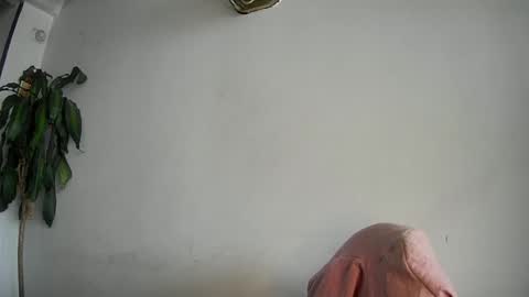 Snapshot of evacollins12 chatting on 15, 2, 2025 evacollins12 online show from 15, 2, 2025