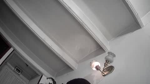 Snapshot of evacollins12 chatting on 25, 2, 2025 evacollins12 online show from 25, 2, 2025