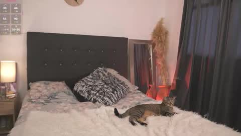 evajacksss_ online show from 12, 2, 2026