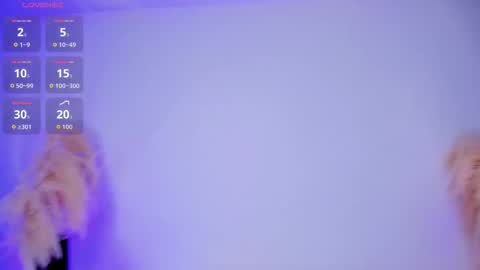 E V A N S online show from 12, 10, 2025