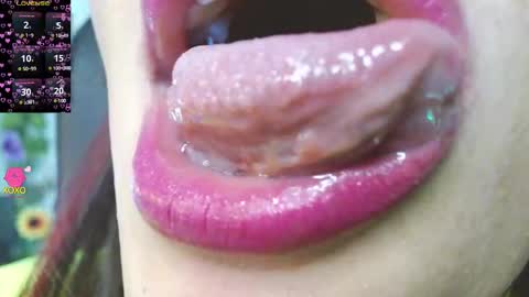 Snapshot of evolethmontenegros chatting on 19, 12, 2024 Evoleth online show from 19, 12, 2024