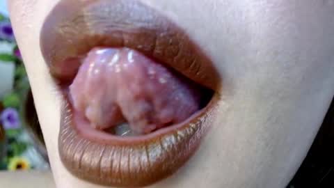 Snapshot of evolethmontenegros chatting on 29, 12, 2024 Evoleth online show from 29, 12, 2024