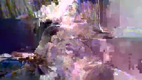 Snapshot of ewaldwillems99 chatting on 10, 2, 2026 Naaktloper online show from 10, 2, 2026