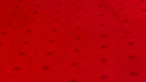 Alana online show from 9, 12, 2024