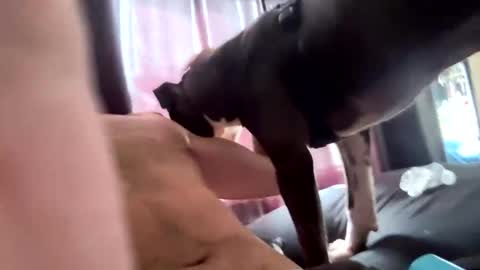 MichazaXO online show from 10, 10, 2025