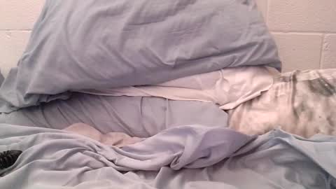 ez37going88 online show from 21, 4, 2026