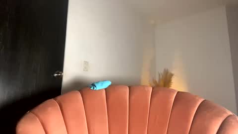 Snapshot of fabianna_laraa chatting on 15, 11, 2025 Thianna online show from 15, 11, 2025