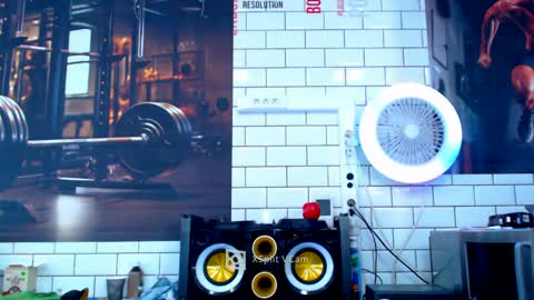 fabxxxl online show from 21, 1, 2025