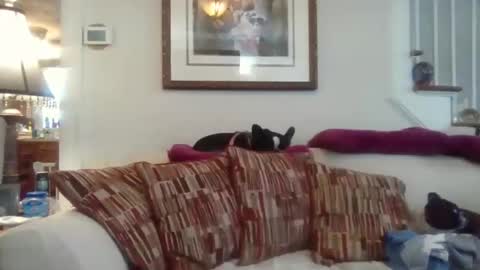 fairmount31 online show from 12, 11, 2025