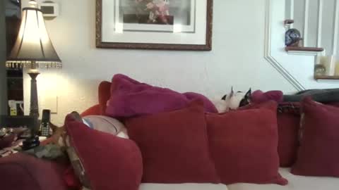 fairmount31 online show from 13, 2, 2026