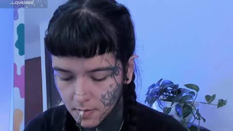 Fairy online show from 11, 3, 2025