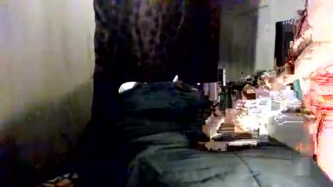 Snapshot of fancie8 chatting on 8, 6, 2026 Fancie8 online show from 8, 6, 2026