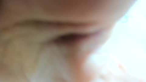 FANNY online show from 5, 3, 2025