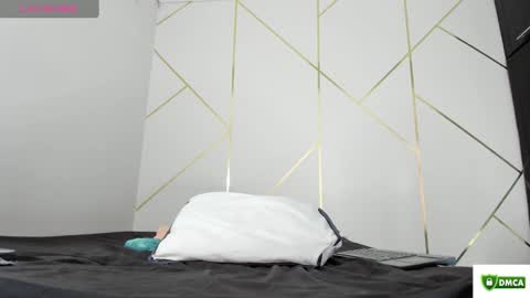 Snapshot of fantasy_33 chatting on 26, 2, 2025 fantasy online show from 26, 2, 2025