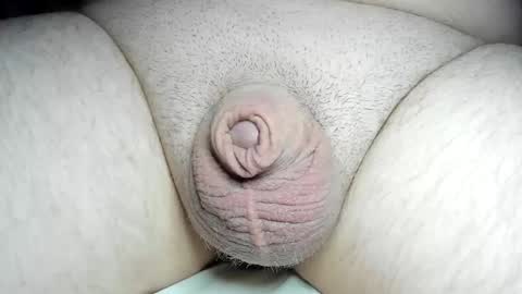 Fatmanscock online show from 8, 12, 2024