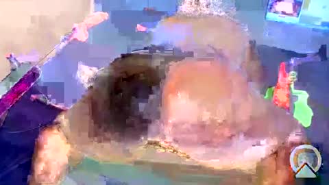 Snapshot of fatpussy348 chatting on 4, 1, 2025 i like my pussy been toture online show from 4, 1, 2025