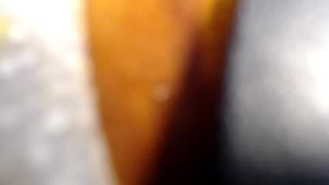 fckyariangel online show from 10, 1, 2026