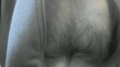 Snapshot of feardubh chatting on 19, 1, 2025 feardubh online show from 19, 1, 2025