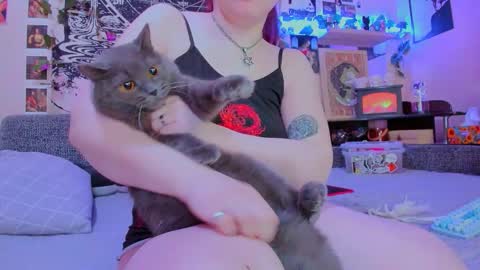 Diva online show from 4, 2, 2026