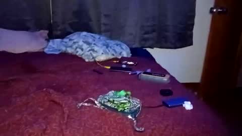 Snapshot of feetandmeat420 chatting on 29, 10, 2025 feetandmeat420 online show from 29, 10, 2025