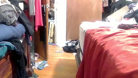 felicitybliss29 online show from 16, 10, 2025