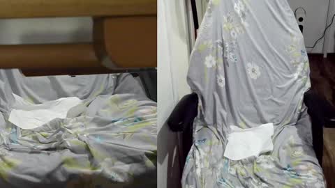 felixlau online show from 22, 1, 2025