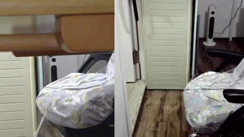 felixlau online show from 26, 1, 2025