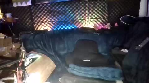Snapshot of fentazimelody chatting on 10, 5, 2026 fentazymelody online show from 10, 5, 2026