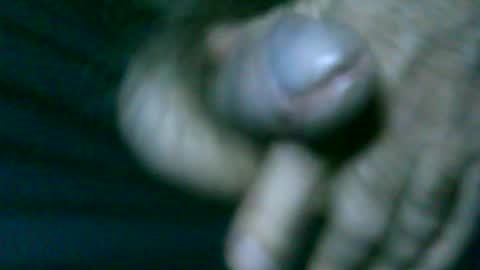 fer_2197 online show from 30, 6, 2026