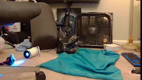 Snapshot of feralasf chatting on 6, 10, 2025 FE fee online show from 6, 10, 2025