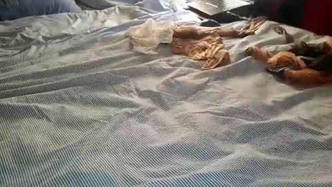 Snapshot of ffst0ckings chatting on 25, 12, 2024 ffst0ckings online show from 25, 12, 2024