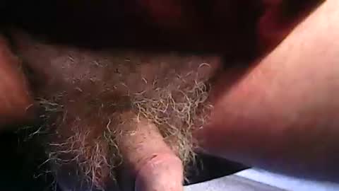 fh1963 online show from 20, 2, 2026