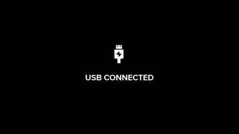 Logan online show from 26, 5, 2026