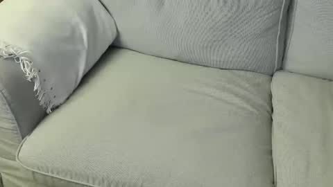 Fid online show from 12, 3, 2026