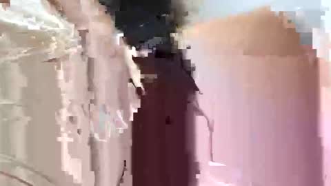 fifipan online show from 25, 10, 2025