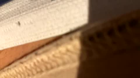 Snapshot of fiksok chatting on 14, 4, 2026 Fiksok online show from 14, 4, 2026