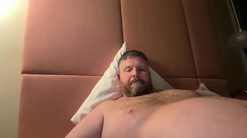 fin bear dom online show from 28, 2, 2026