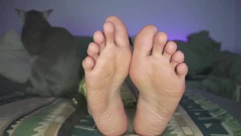 Ashley online show from 19, 12, 2024